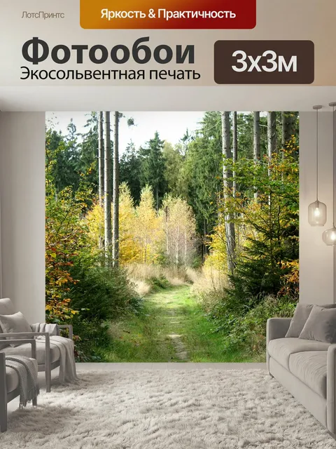 Фотообои Лесная тропа, лес, деревья