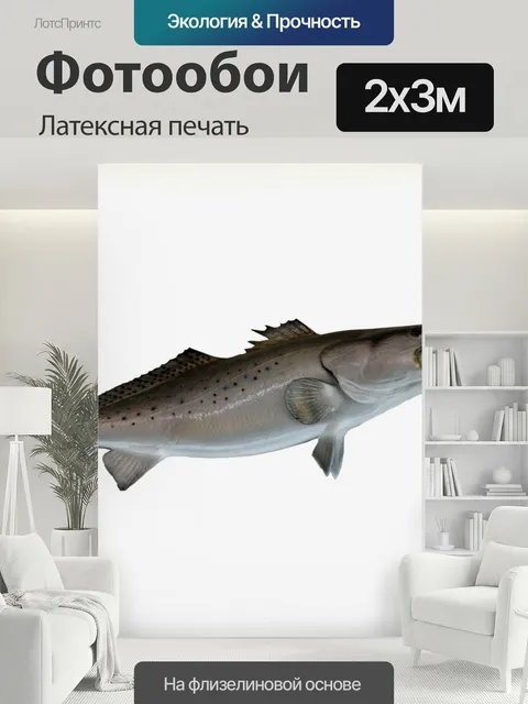200 × 300 см · Латексная печать