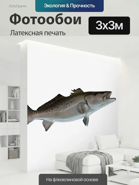 300 × 300 см · Латексная печать