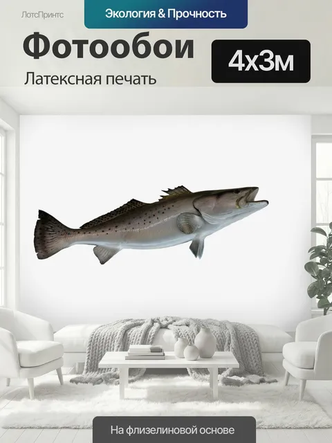 400 × 300 см · Латексная печать