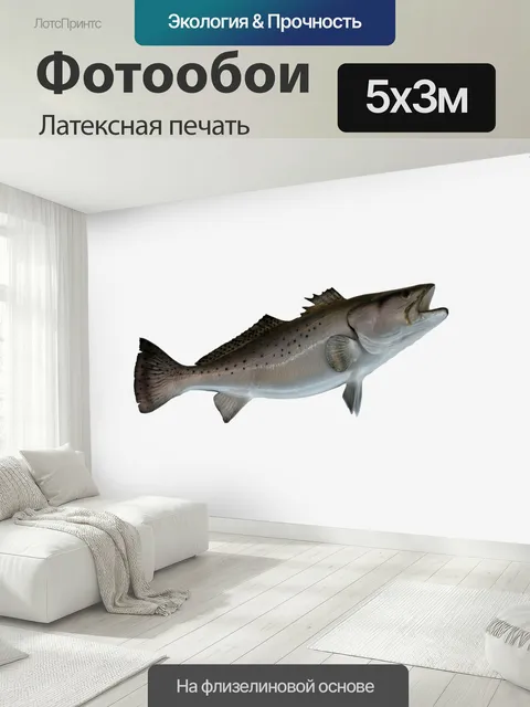 500 × 300 см · Латексная печать