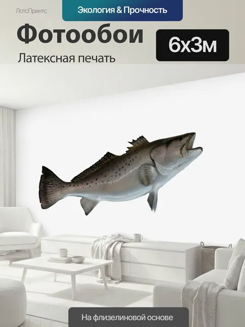 600 × 300 см · Латексная печать