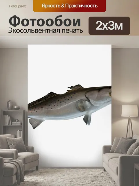 200 × 300 см · Экосольвентная печать