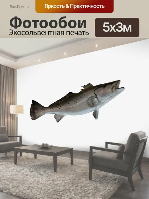 500 × 300 см · Экосольвентная печать