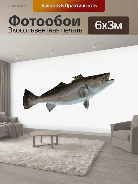 600 × 300 см · Экосольвентная печать