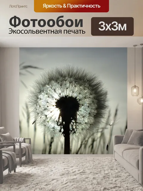Фотообои Природа, одуванчик, закат