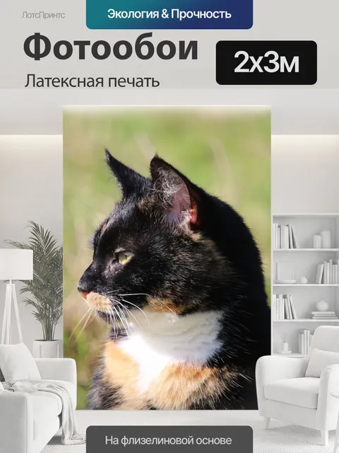200 × 300 см · Латексная печать
