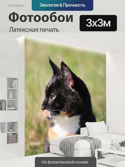 300 × 300 см · Латексная печать