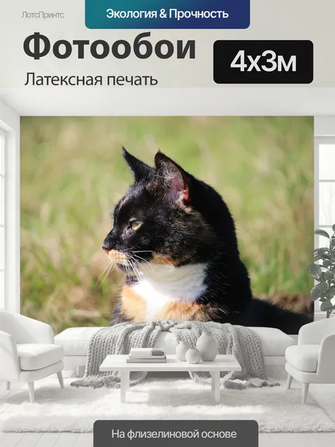 400 × 300 см · Латексная печать