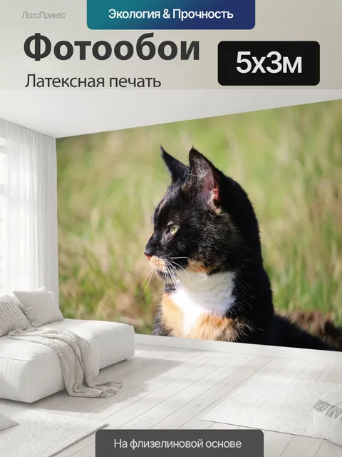 500 × 300 см · Латексная печать