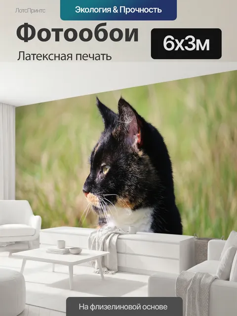 600 × 300 см · Латексная печать
