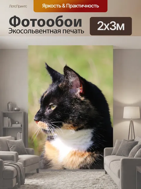 200 × 300 см · Экосольвентная печать