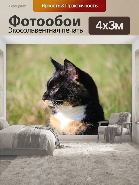 400 × 300 см · Экосольвентная печать