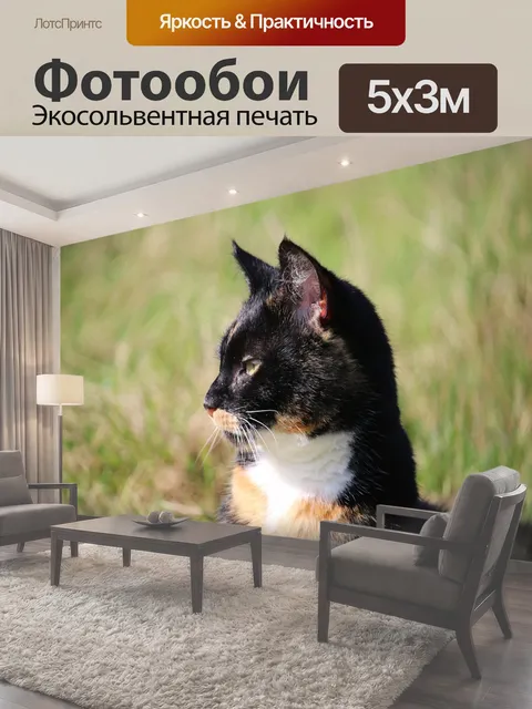 500 × 300 см · Экосольвентная печать