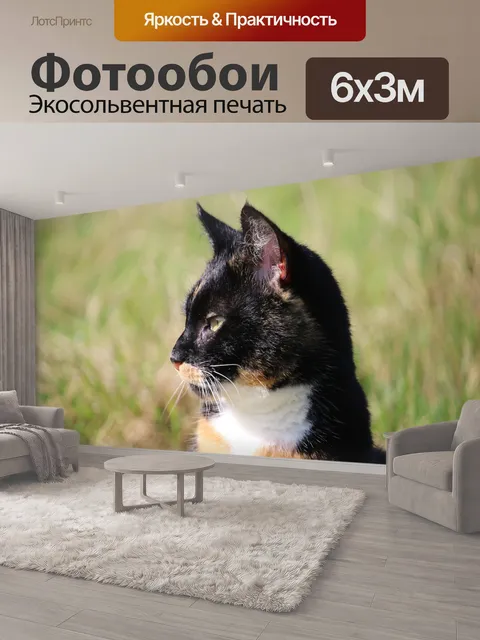 600 × 300 см · Экосольвентная печать