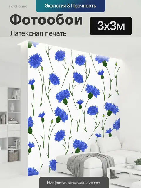 300 × 300 см · Латексная печать