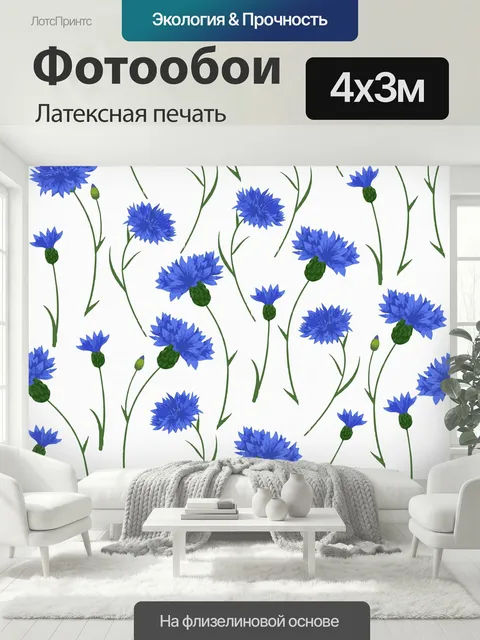 400 × 300 см · Латексная печать