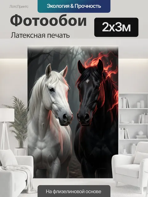 200 × 300 см · Латексная печать