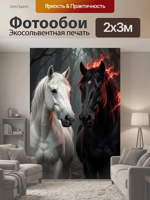 200 × 300 см · Экосольвентная печать