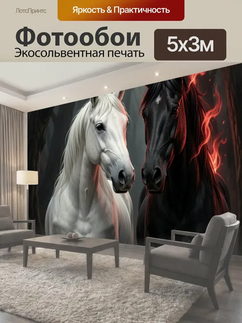 500 × 300 см · Экосольвентная печать