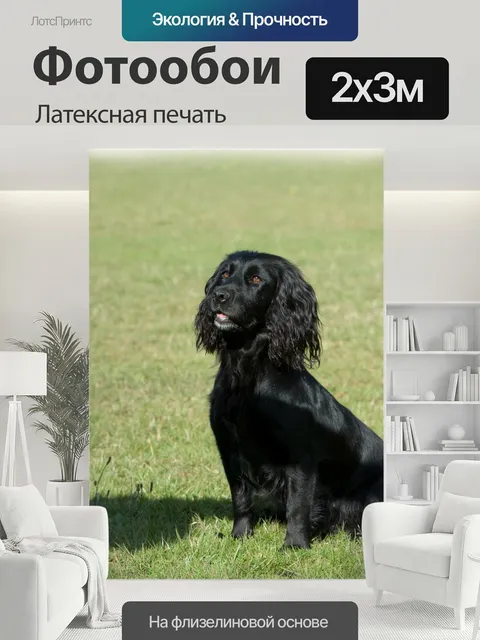 200 × 300 см · Латексная печать