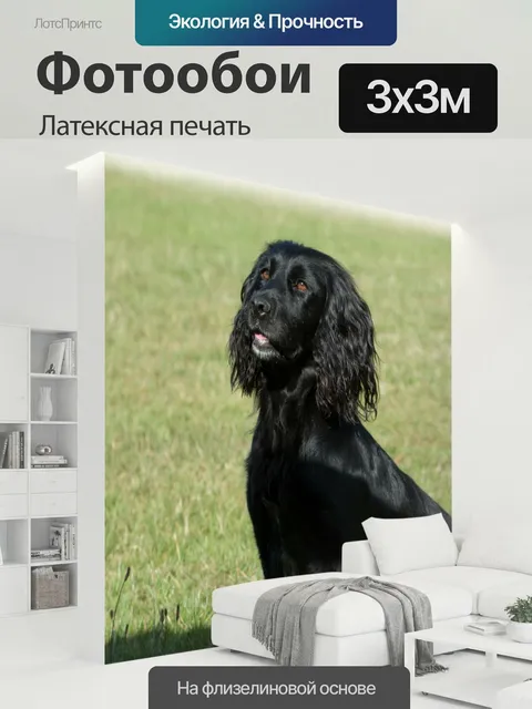 300 × 300 см · Латексная печать