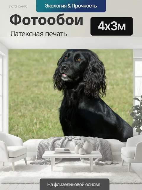 400 × 300 см · Латексная печать