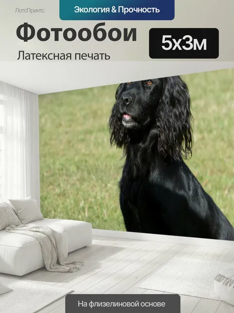500 × 300 см · Латексная печать
