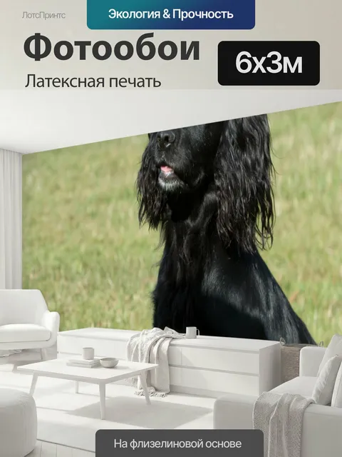 600 × 300 см · Латексная печать