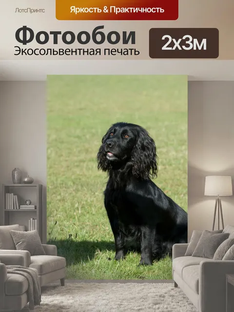 200 × 300 см · Экосольвентная печать