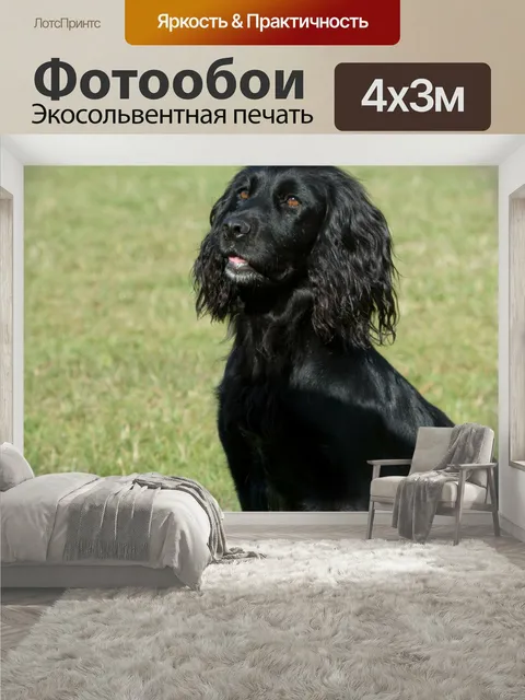 400 × 300 см · Экосольвентная печать