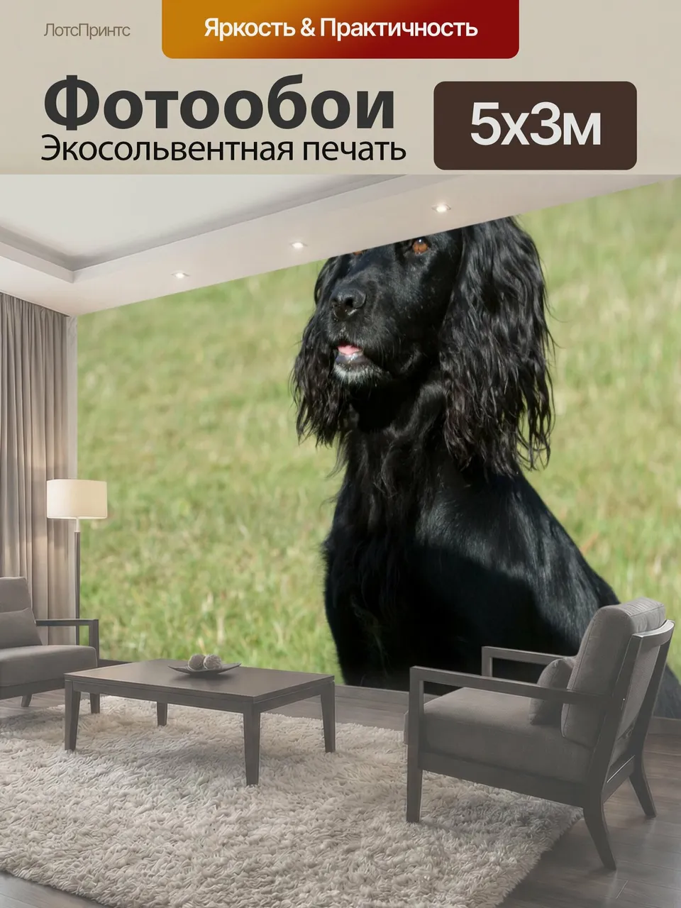 Фотообои Собака Черный работы кокер оповещения спаниель