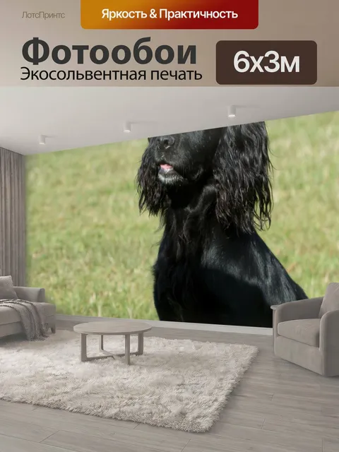 600 × 300 см · Экосольвентная печать
