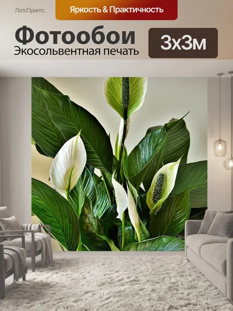 Фотообои Мир лилий, декоративные растения, куспиды