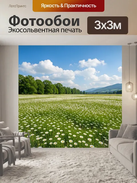 Фотообои Ромашковое поле под облачным небом