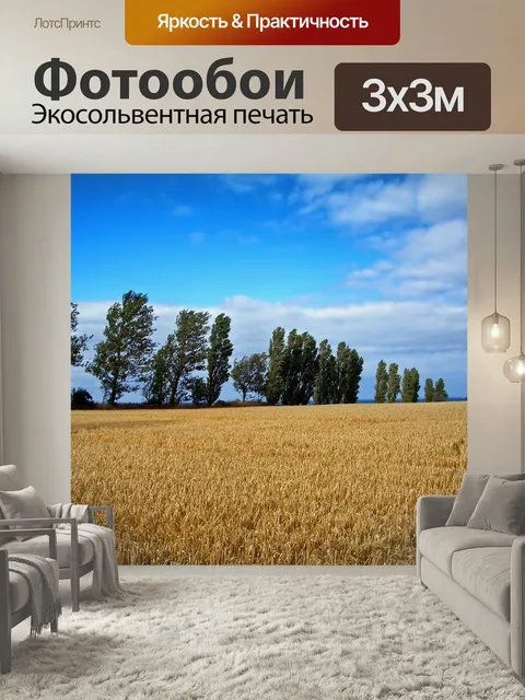Фотообои Дания, пшеница, поле