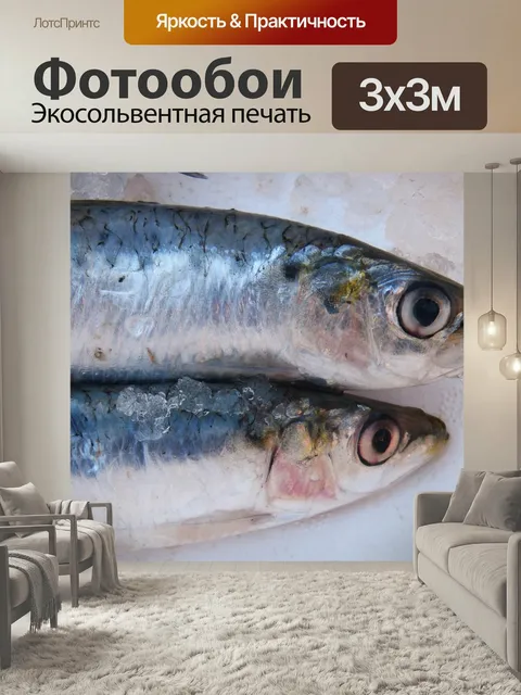Фотообои Сардина, рыба, свежий