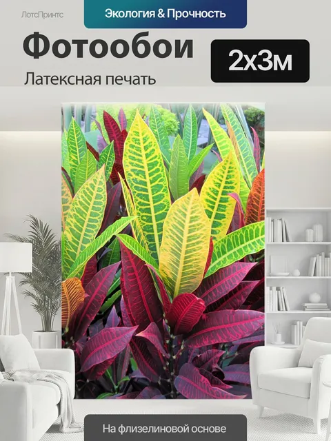 200 × 300 см · Латексная печать