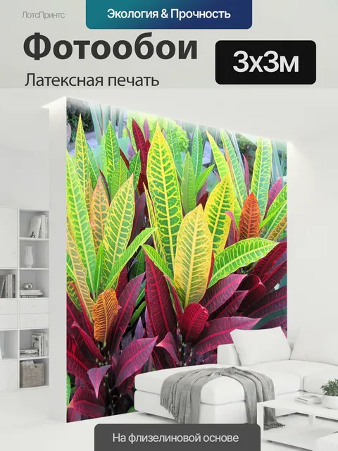 300 × 300 см · Латексная печать