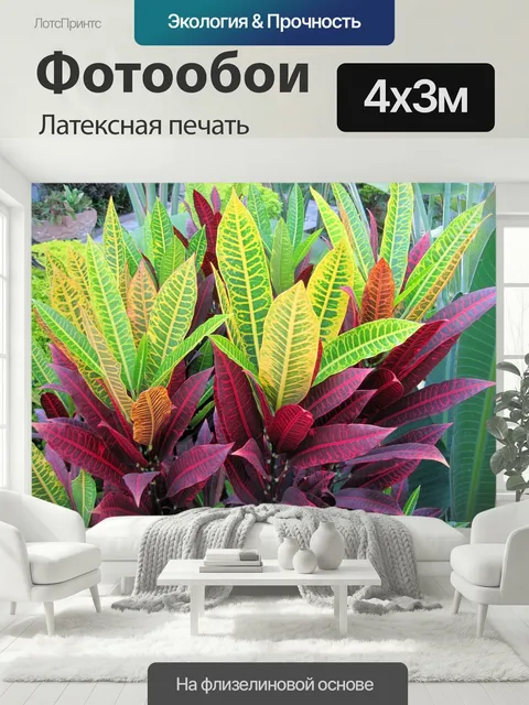 400 × 300 см · Латексная печать