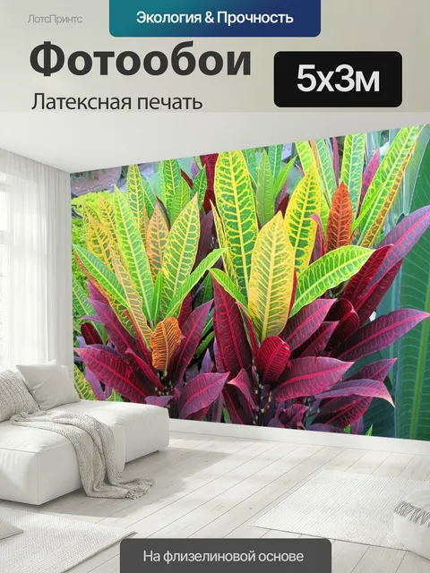 500 × 300 см · Латексная печать