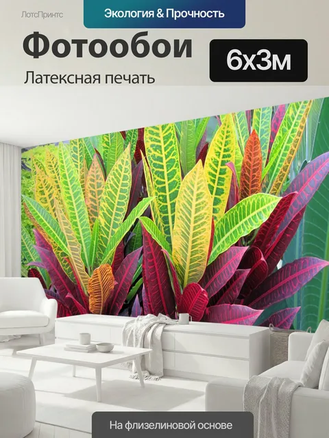 600 × 300 см · Латексная печать