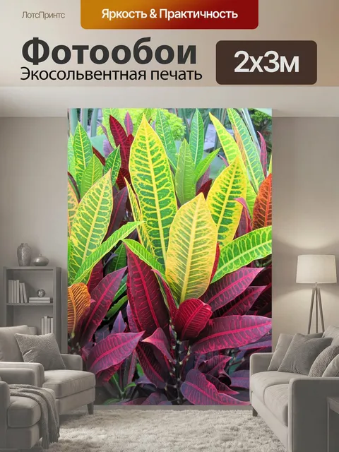 200 × 300 см · Экосольвентная печать