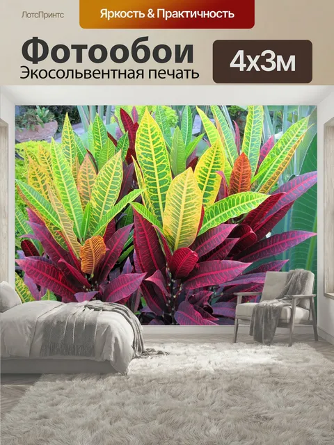 400 × 300 см · Экосольвентная печать
