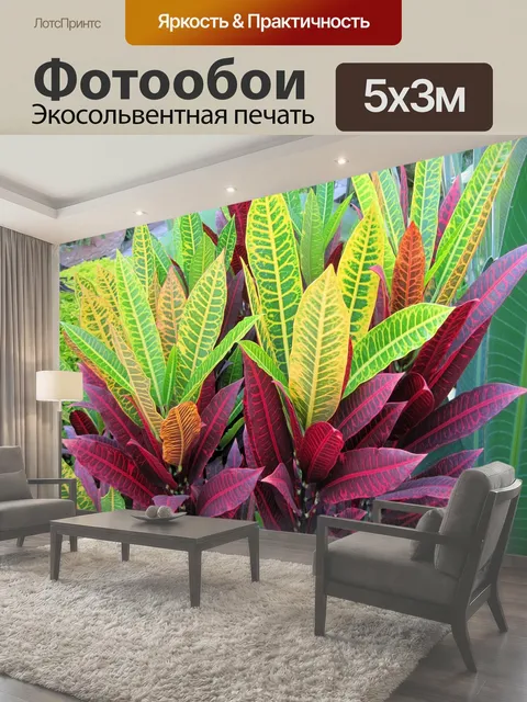 500 × 300 см · Экосольвентная печать