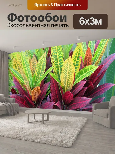 600 × 300 см · Экосольвентная печать