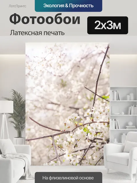 200 × 300 см · Латексная печать