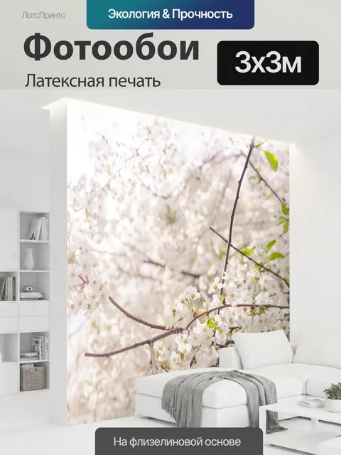 300 × 300 см · Латексная печать