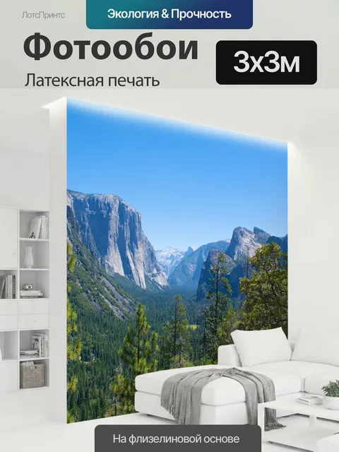 300 × 300 см · Латексная печать