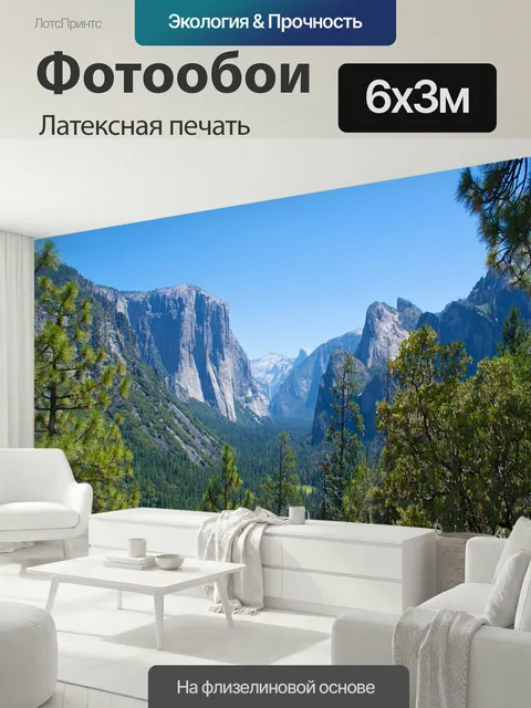 600 × 300 см · Латексная печать
